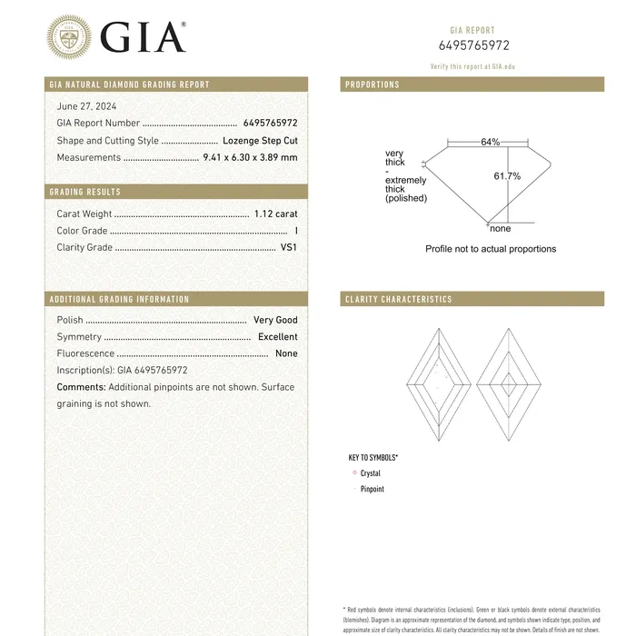 Misfit Diamonds 112ct 941x630x389mm GIA VS1 I Lozenge Step Cut 2580202 Rings