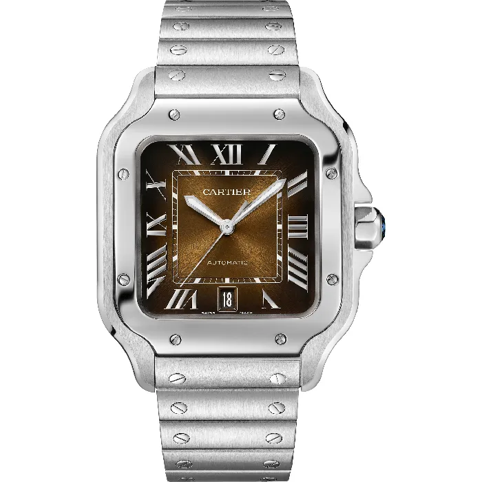 Watches Cartier Santos de Cartier watch CRWSSA0064