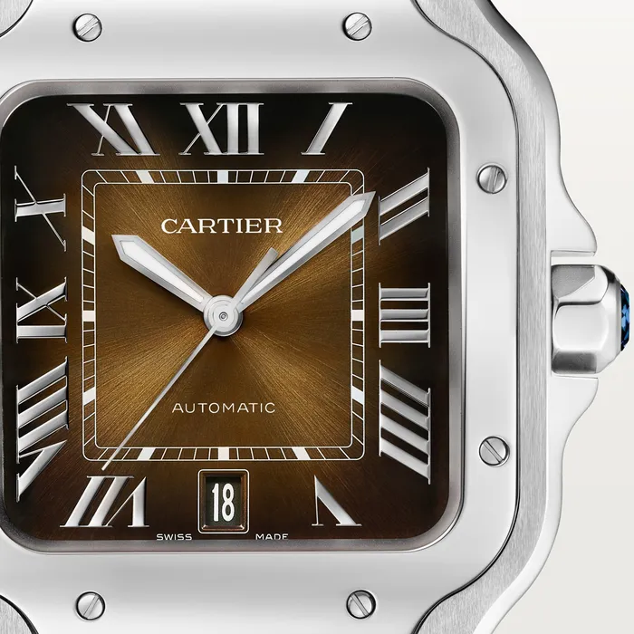 Watches Cartier Santos de Cartier watch CRWSSA0064