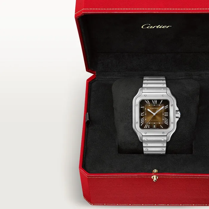 Watches Cartier Santos de Cartier watch CRWSSA0064