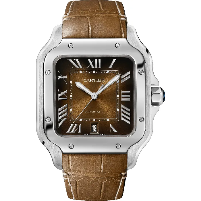 Watches Cartier Santos de Cartier watch CRWSSA0064