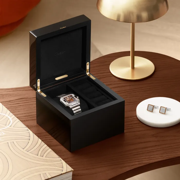 Watches Cartier Santos de Cartier watch CRWSSA0064
