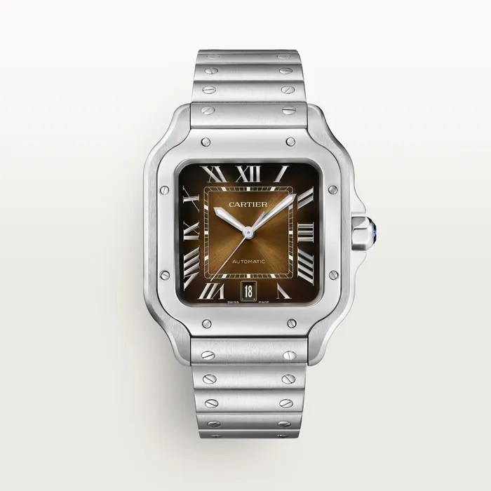 Watches Cartier Santos de Cartier watch CRWSSA0064