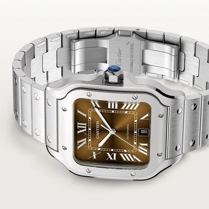 Watches Cartier Santos de Cartier watch CRWSSA0064