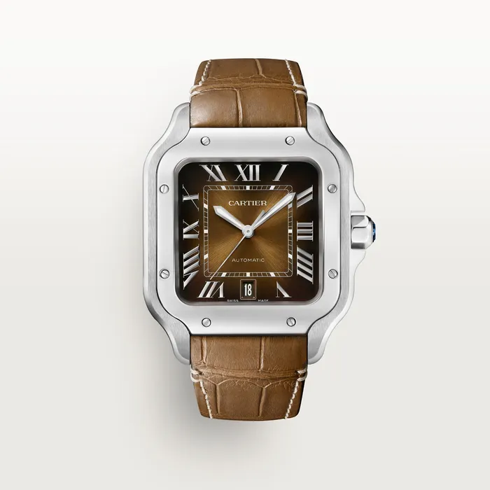 Watches Cartier Santos de Cartier watch CRWSSA0064